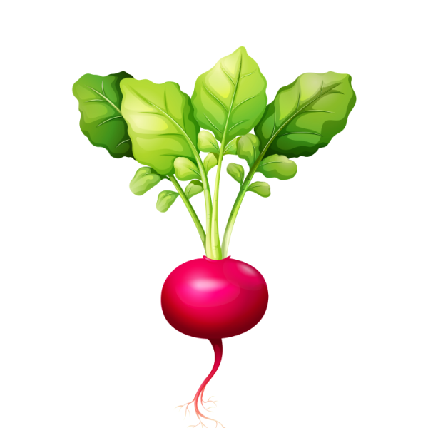 Earthy Beetroot