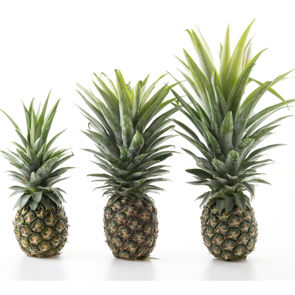 Seasonal Pineapple